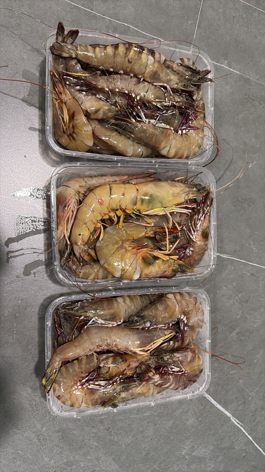 Jual Kepiting Segar & Udang Fresh Balikpapan - Image 5